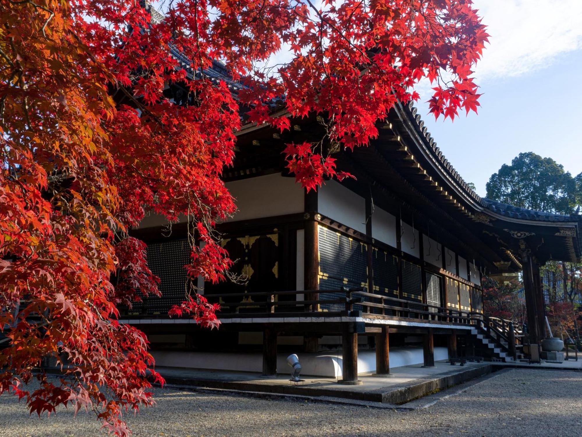The Blossom 京都 外观 照片