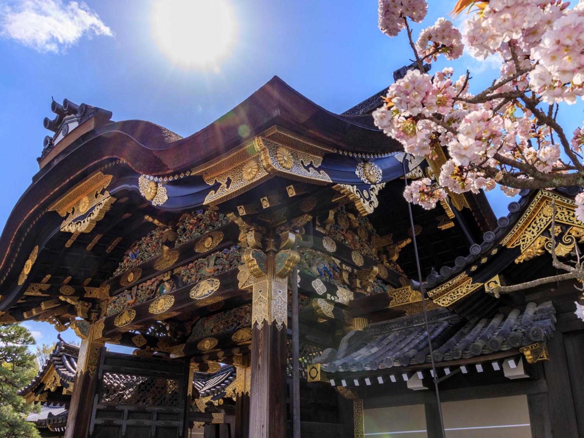 The Blossom 京都 外观 照片