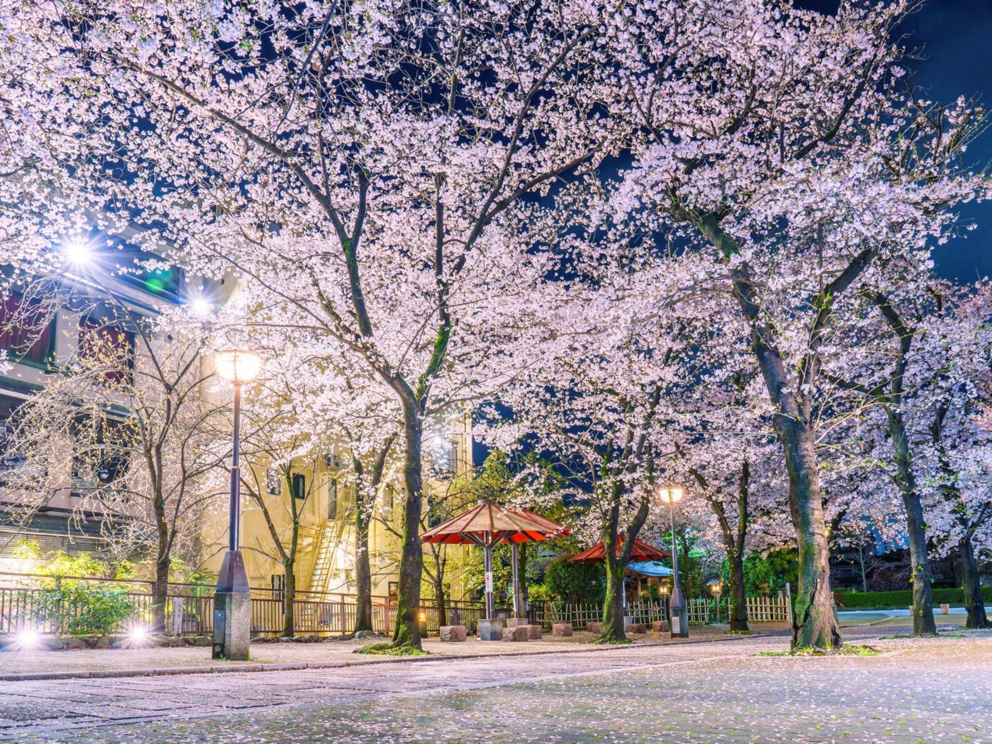 The Blossom 京都 外观 照片